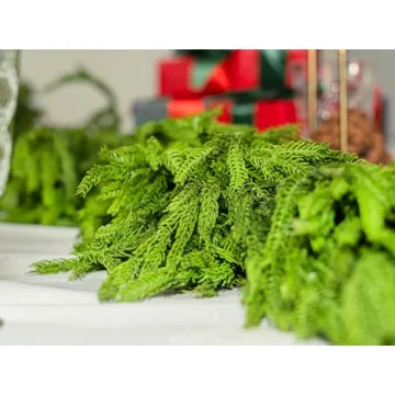 15FT Norfolk Pine Garland - Festive Christmas Decor