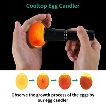 High-Intensity AZXIVIZ Egg Candler for Easy Candling