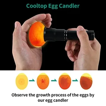 High-Intensity AZXIVIZ Egg Candler for Easy Candling