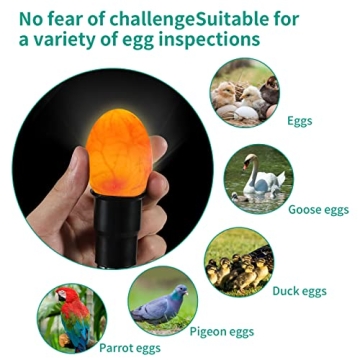 High-Intensity AZXIVIZ Egg Candler for Easy Candling
