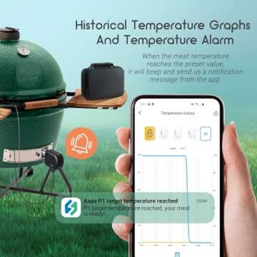 Smart Wi-Fi & Bluetooth BBQ Temperature Controller