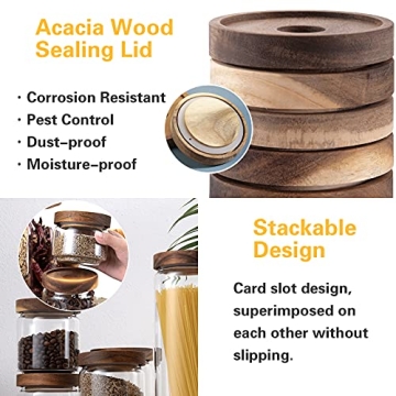 MOLADRI 720ML/24Oz Clear Cute Glass Storage Canister Holder with Stackable Airtight Wood Lid, Modern Decorative Container Jar for Coffee, Spice, Candy, Salt, Cookie, Condiment, Pepper, Sugar