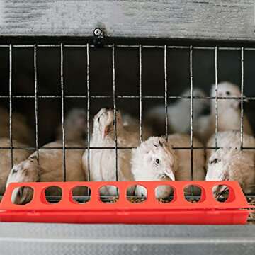 WSERE 3 Pack Plastic Flip Top Bird Small Poultry Feeder for Pigeon Quails Ducklings Birds, Green Red Yellow No Mess No Waste Multihole Birds Feeding Dish Dispenser Chick Feeder