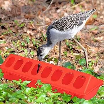 WSERE 3 Pack Plastic Flip Top Bird Small Poultry Feeder for Pigeon Quails Ducklings Birds, Green Red Yellow No Mess No Waste Multihole Birds Feeding Dish Dispenser Chick Feeder