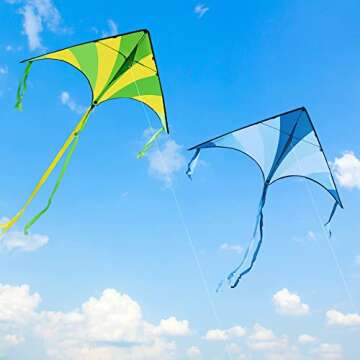 JOYIN 3 Packs Large Delta Kite Green, Blue and Rainbow, Easy to Fly for Kids with 262.5 ft String, L...