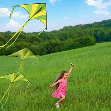JOYIN 3 Pack Delta Kites - Easy to Fly Family Fun