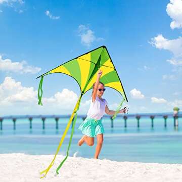 JOYIN 3 Pack Delta Kites - Easy to Fly Family Fun