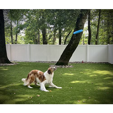 Durable Bluewater Dog Frisbee for Outdoor Adventures