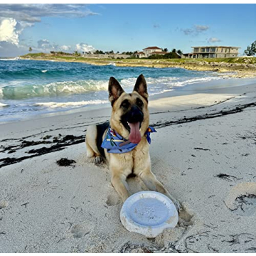Durable Bluewater Dog Frisbee for Outdoor Adventures