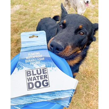 Durable Bluewater Dog Frisbee for Outdoor Adventures