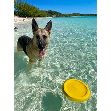 Durable Bluewater Dog Frisbee for Outdoor Adventures