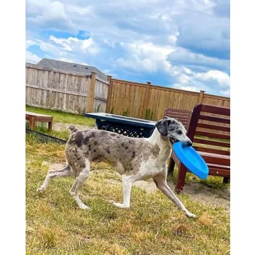 Durable Bluewater Dog Frisbee for Outdoor Adventures