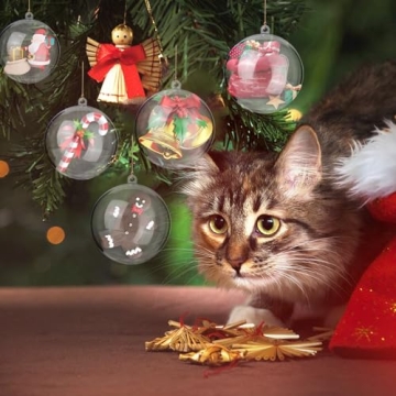 Christmas Ornament Balls 20 Pack DIY Fillable Baubles