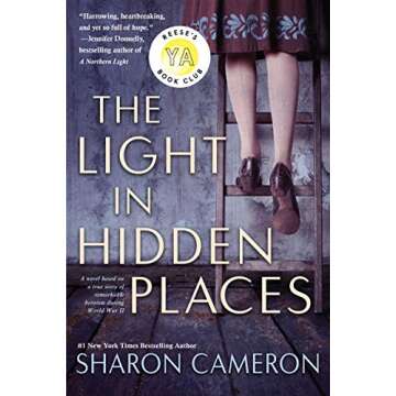 The Light in Hidden Places: A Journey of Discovery and Illumination