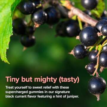 Amberen Energy, Mood, Sleep Gummies with Pycnogenol, Black Currant Flavor, 60 Ct, Support Supplements for Women 35+ to Boost Energy, Support Mood and Improves Sleep, Hormone-Free Energy Gummies