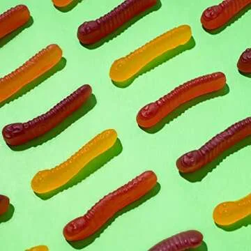 Surf Sweets Gummy Worms, Made with Organic Cane Sugar and Organic Fruit Juice, Gluten Free, Nut-Free, Vegetarian and No Artificial Colors or Flavors, 2.75 oz (Pack of 12)