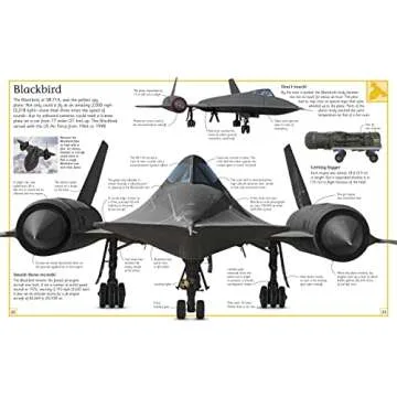 The Big Book of Airplanes (DK Big Books)