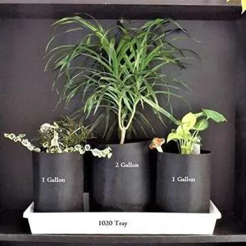 Bootstrap Farmer 7 Gallon Fabric Plant Pots with Handles