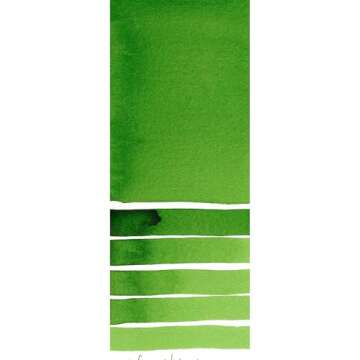 DANIEL SMITH 284600042 , Hooker's Green Extra Fine Watercolor 15ml Paint Tube, 0.5 Fl Oz (Pack of 1)