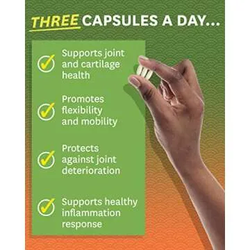 Zenwise Glucosamine Chondroitin Sulfate MSM Curcumin - Joint Support Supplement with Hyaluronic Acid for Extra Strength Relief - Natural Health & Mobility Support for Pain, Aches & Soreness (180 Count)