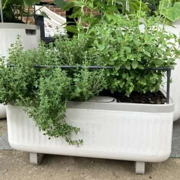 Vego Garden Herb Planter: Self-Watering Indoor Plant Box