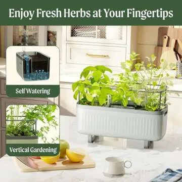 Vego Garden Herb Planter: Self-Watering Indoor Plant Box