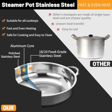2 Tier Stainless Steel Steamer Pot for Healthy Cooking