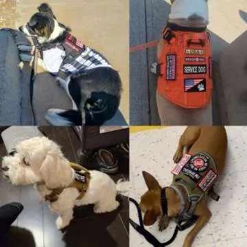12 PCS Service Dog Patches for Vests and Harnesses