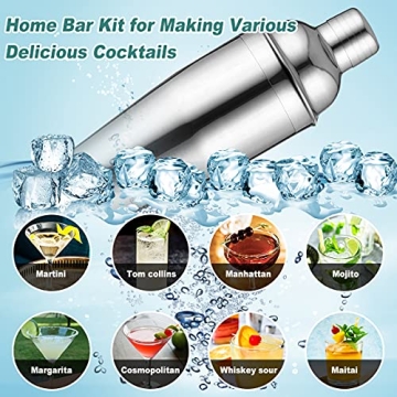 Professional 17-piece Cocktail Shaker Set for Home Mixology