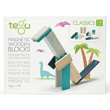 14 Piece Tegu Magnetic Block Set for All Ages
