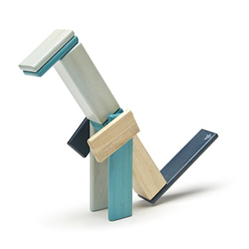 14 Piece Tegu Magnetic Block Set for All Ages