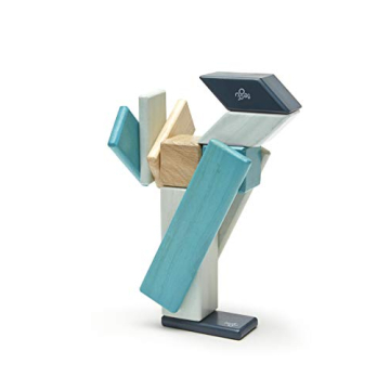 14 Piece Tegu Magnetic Block Set for All Ages