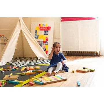 14 Piece Tegu Magnetic Block Set for All Ages