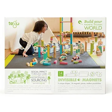 14 Piece Tegu Magnetic Block Set for All Ages