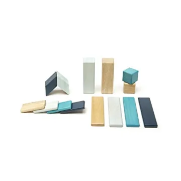 14 Piece Tegu Magnetic Block Set for All Ages
