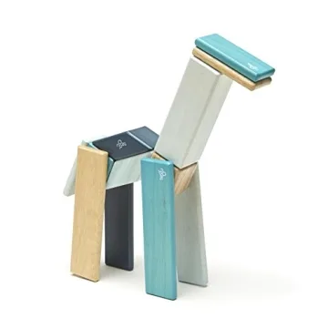 14 Piece Tegu Magnetic Block Set for All Ages