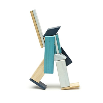 14 Piece Tegu Magnetic Block Set for All Ages