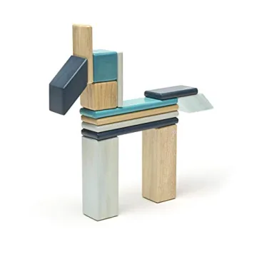 14 Piece Tegu Magnetic Block Set for All Ages