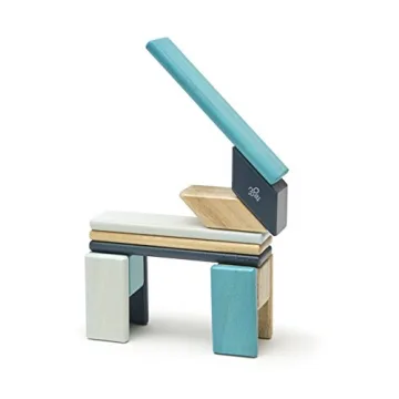 14 Piece Tegu Magnetic Block Set for All Ages