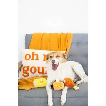 Pearhead Thanksgiving Dinner Dog Toys, Thanksgiving Toy Set for Dogs, Set of 3, Plush Dog Toys, Squeaky Dog Toy, Food Pet Toys
