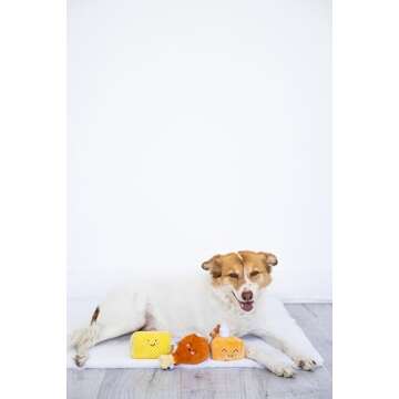 Pearhead Thanksgiving Dinner Dog Toys, Thanksgiving Toy Set for Dogs, Set of 3, Plush Dog Toys, Squeaky Dog Toy, Food Pet Toys