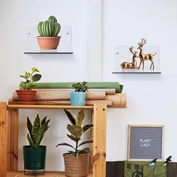 Yalikop Small Acrylic Floating Shelves for Display