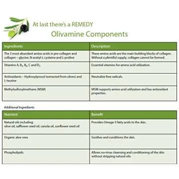 Medline Remedy Olivamine Antimicrobial Cleanser, 8-oz Spray Bottle