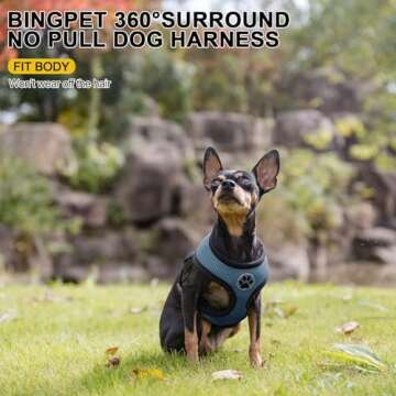 BINGPET Small Dog Harness - Breathable Mesh Puppy Cat Harnesses - No Pull Adjustable Dog Harness Dog...