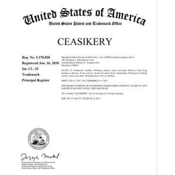 CEASIKERY Womens Blouse 3/4 Sleeve Floral Print T-Shirt Comfy Casual Tops For Women Pink (US 18-20) XX-Large