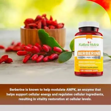 Kaibro Nutra Berberine 500mg (1000mg Per Serving) for Supports Healthy Immune Function, Anti-oxidant,Gastrointestinal & Overall Wellness - 120 Capsules