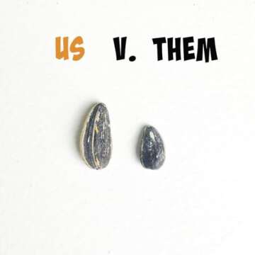 SMACKIN' Sunflower Seeds, Roasted Jumbo Small-Batch, American Made - 8 Flavor Variety. 1.5oz bags (54 Pack Bucket)