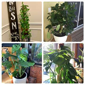 JOYSEUS 51.5" Moss Poles - Eco-friendly Plant Support