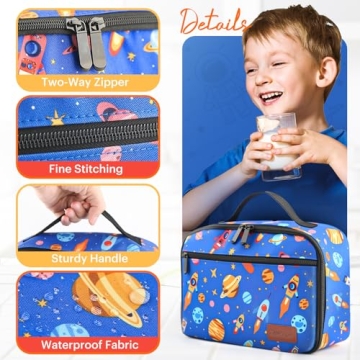 Stylish Insulated Lunch Boxes for All Ages