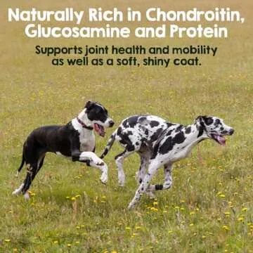 Riley's Steer Bully Sticks for Large to XL Dogs - Odor Free Bully Sticks for Large Dogs - Single Ingredient Dog Treat - Gluten-Free, 100% Beef Pizzle Sticks for Dogs - 12", 5ct